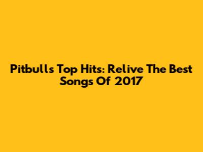 Pitbull's Top Hits: Relive The Best Songs Of 2017