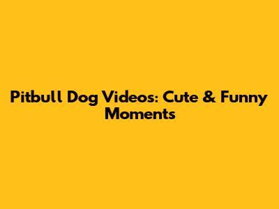 Pitbull Dog Videos: Cute & Funny Moments