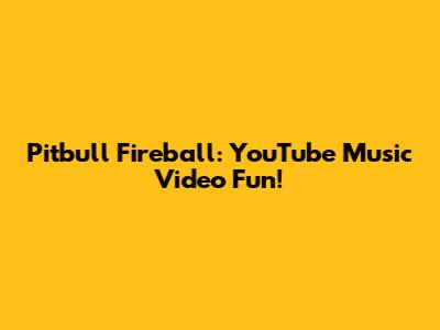 Pitbull Fireball: YouTube Music Video Fun!