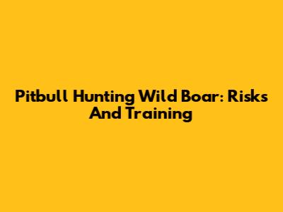 Pitbull Hunting Wild Boar: Risks And Training
