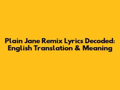 Plain Jane Remix Lyrics Decoded: English Translation & Meaning