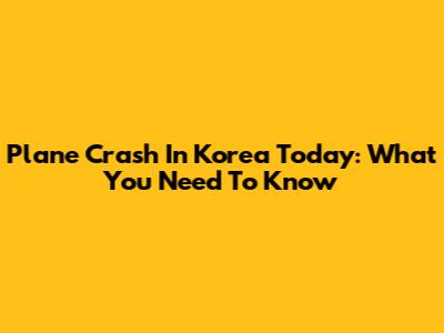 Plane Crash In Korea Today: What You Need To Know