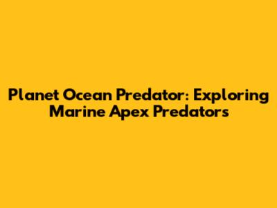 Planet Ocean Predator: Exploring Marine Apex Predators