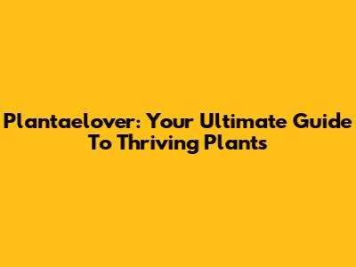 Plantaelover: Your Ultimate Guide To Thriving Plants