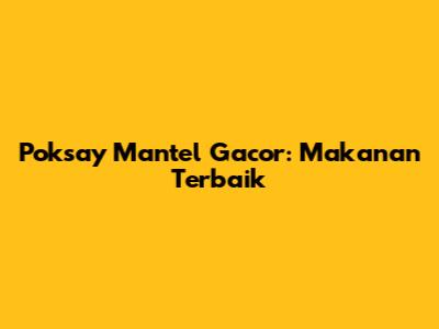 Poksay Mantel Gacor: Makanan Terbaik