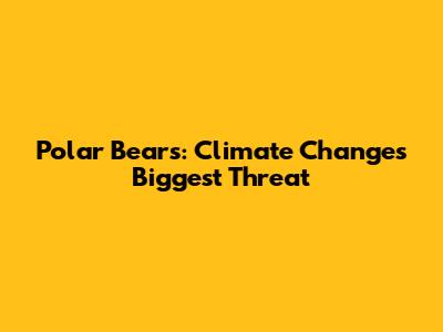 Polar Bears: Climate Change's Biggest Threat