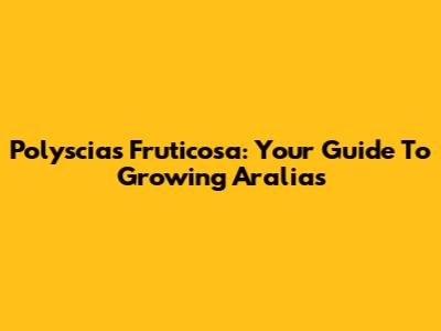 Polyscias Fruticosa: Your Guide To Growing Aralias