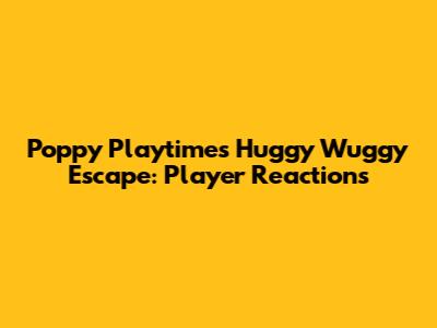 Poppy Playtime's Huggy Wuggy Escape: Player Reactions