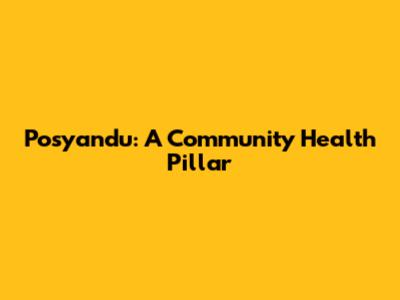 Posyandu: A Community Health Pillar