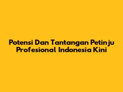 Potensi Dan Tantangan Petinju Profesional Indonesia Kini