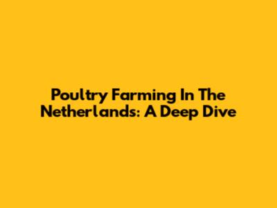 Poultry Farming In The Netherlands: A Deep Dive