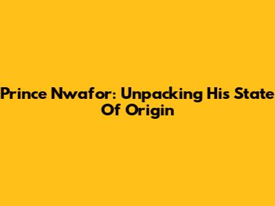 Prince Nwafor: Unpacking His State Of Origin