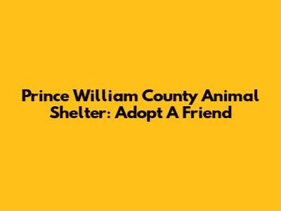 Prince William County Animal Shelter: Adopt A Friend