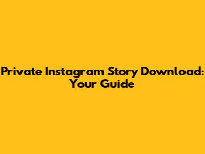 Private Instagram Story Download: Your Guide