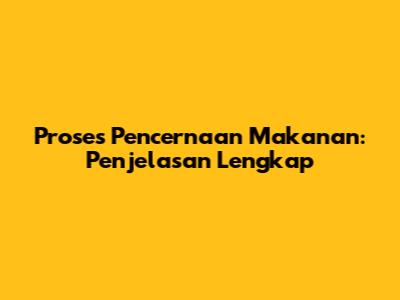 Proses Pencernaan Makanan: Penjelasan Lengkap