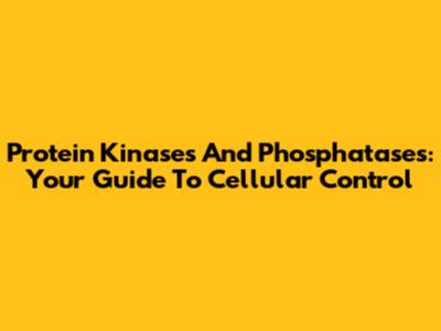 Protein Kinases And Phosphatases: Your Guide To Cellular Control