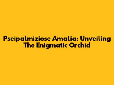 Pseipalmiziose Amalia: Unveiling The Enigmatic Orchid