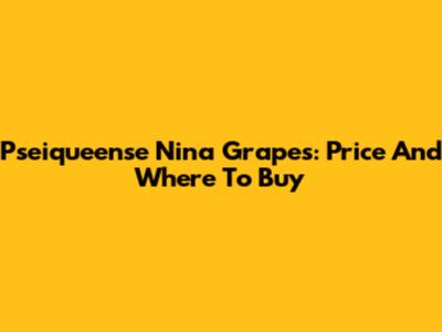 Pseiqueense Nina Grapes: Price And Where To Buy