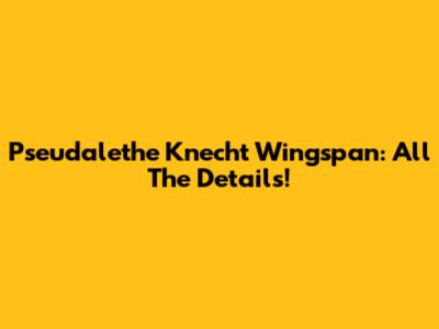 Pseudalethe Knecht Wingspan: All The Details!
