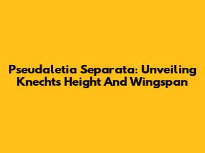 Pseudaletia Separata: Unveiling Knecht's Height And Wingspan