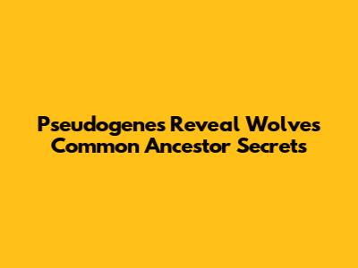Pseudogenes Reveal Wolves' Common Ancestor Secrets