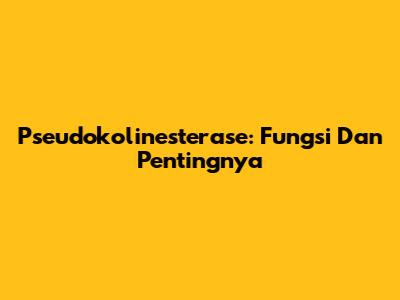 Pseudokolinesterase: Fungsi Dan Pentingnya