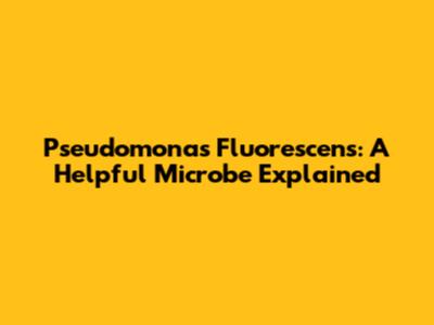 Pseudomonas Fluorescens: A Helpful Microbe Explained