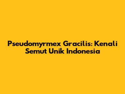 Pseudomyrmex Gracilis: Kenali Semut Unik Indonesia