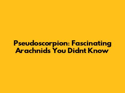 Pseudoscorpion: Fascinating Arachnids You Didn't Know