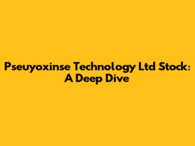 Pseuyoxinse Technology Ltd Stock: A Deep Dive