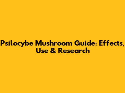 Psilocybe Mushroom Guide: Effects, Use & Research