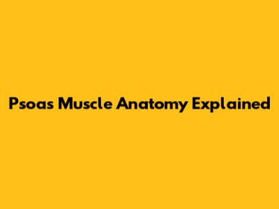 Psoas Muscle Anatomy Explained