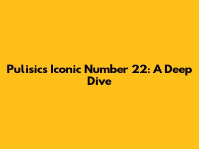 Pulisic's Iconic Number 22: A Deep Dive