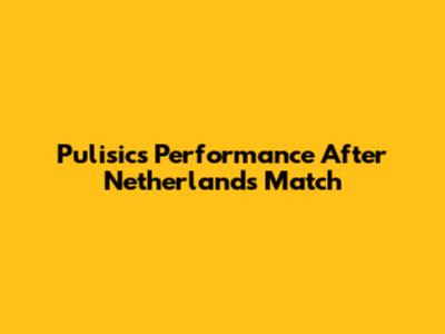 Pulisic's Performance After Netherlands Match