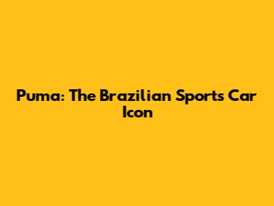 Puma: The Brazilian Sports Car Icon