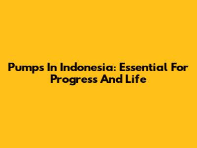Pumps In Indonesia: Essential For Progress And Life