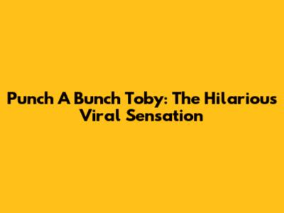 Punch A Bunch Toby: The Hilarious Viral Sensation