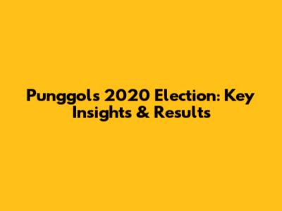 Punggol's 2020 Election: Key Insights & Results