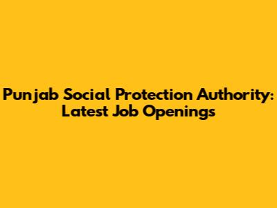 Punjab Social Protection Authority: Latest Job Openings