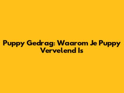 Puppy Gedrag: Waarom Je Puppy Vervelend Is