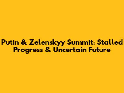 Putin & Zelenskyy Summit: Stalled Progress & Uncertain Future