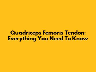 Quadriceps Femoris Tendon: Everything You Need To Know