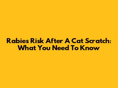 Rabies Risk After A Cat Scratch: What You Need To Know