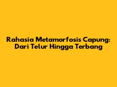 Rahasia Metamorfosis Capung: Dari Telur Hingga Terbang