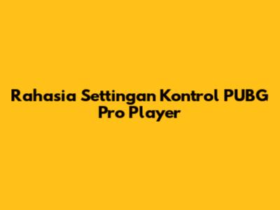 Rahasia Settingan Kontrol PUBG Pro Player