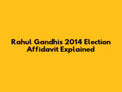 Rahul Gandhi's 2014 Election Affidavit Explained