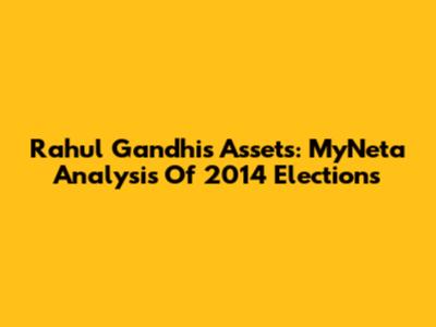 Rahul Gandhi's Assets: MyNeta Analysis Of 2014 Elections