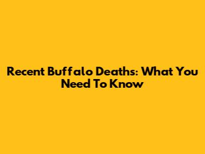 Recent Buffalo Deaths: What You Need To Know