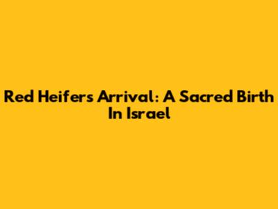 Red Heifer's Arrival: A Sacred Birth In Israel