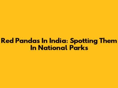 Red Pandas In India: Spotting Them In National Parks